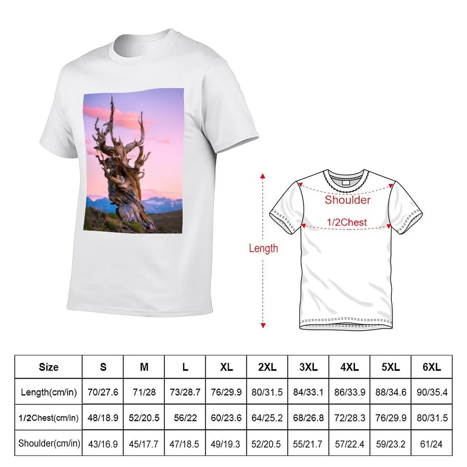 Ancient bristlecone pine forest T-Shirt sports fans korean fashion basketball graphic tees mens t shirt