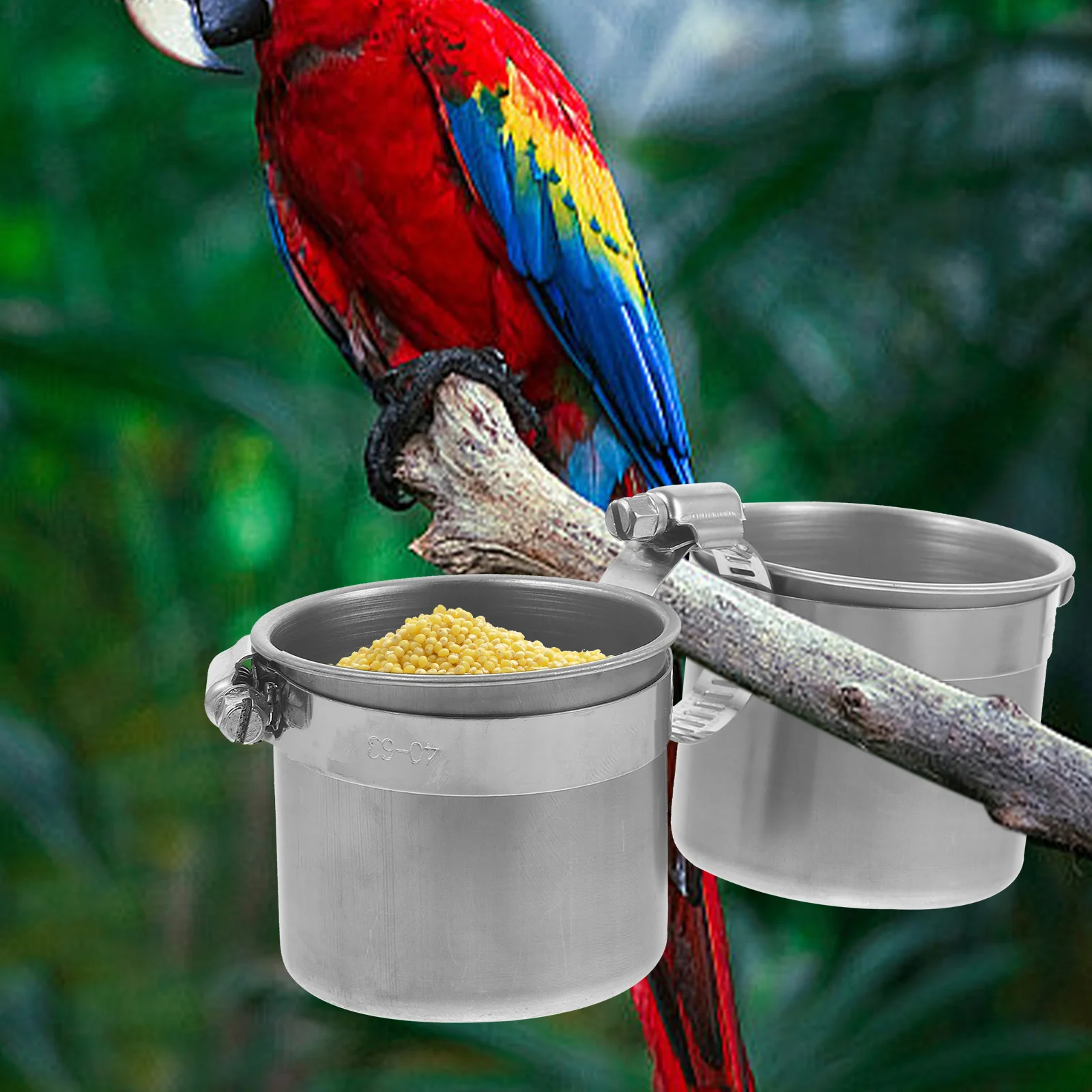 

Bird Feeder Parrot Food Box Accessories Cylinder Pole Pet Container Novelty