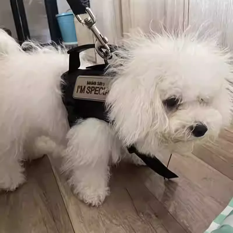 Nylon Cat Harness Vest Military Tactical Cats Harness With Handle Cats Small Dogs Pet Training Walking