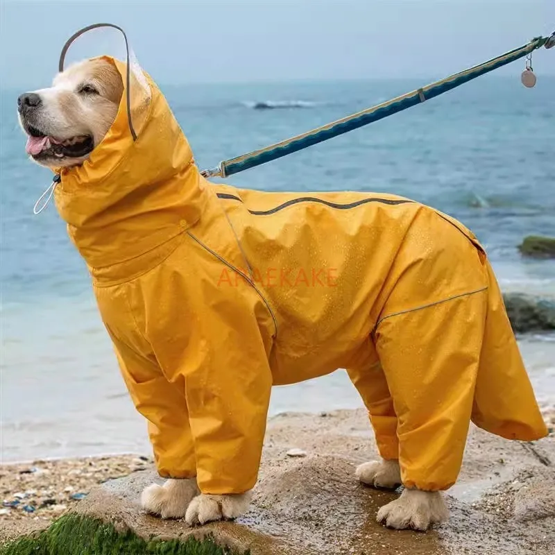 Pet dog, big dog, medium to large dog, golden haired Samoyed, Alaska, all inclusive raincoat, hooded bag, tail rain gear