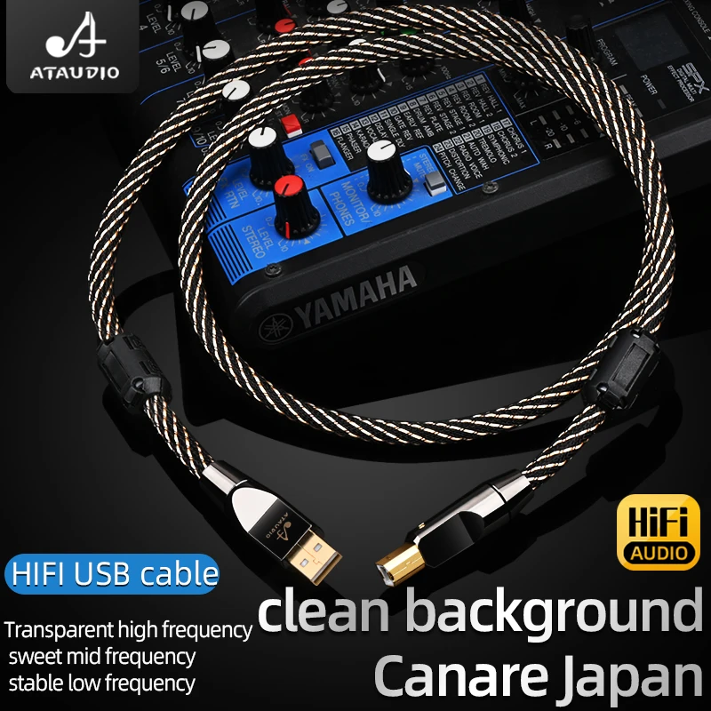 Canare HiFi USB OTG كابل 6N OFC نوع C إلى نوع B كابل USB نوع A إلى B كابل الصوت ل فك DAC كارت الصوت