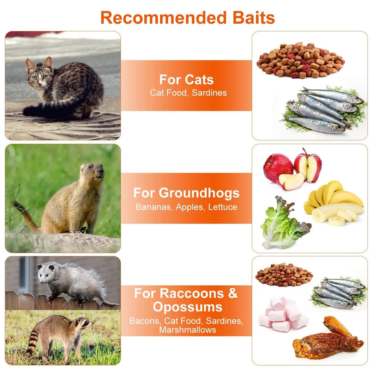 Humane Live Animal Trap 1-Door Solid Steel Catch Release Cage for Raccoons, Rabbits, Stray Cats, Squirrels, Groundhogs, Opossums view 6