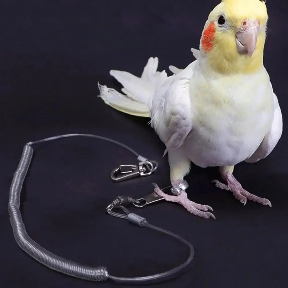 

Bird Straps Ultra-light Parrot Training Rope Anti-bite Durable Bird Leash Flexible Parrot Harness Garden