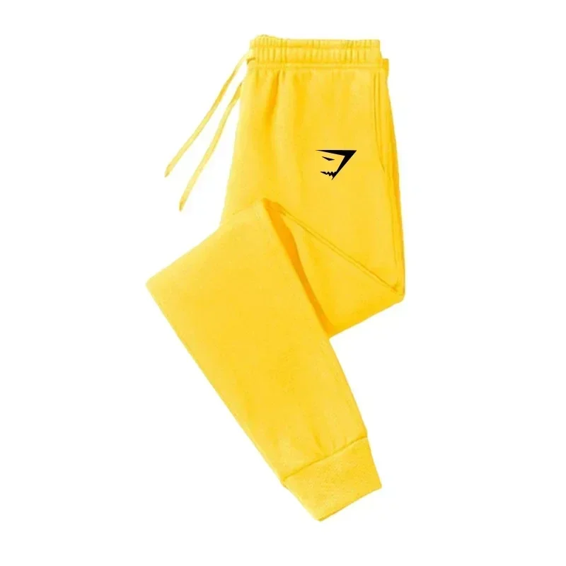 Fashion Men Casual Sports Pants Running Workout Jogging Long Pants Gym Sport Trousers for Men Jogger Sweatpants image 2