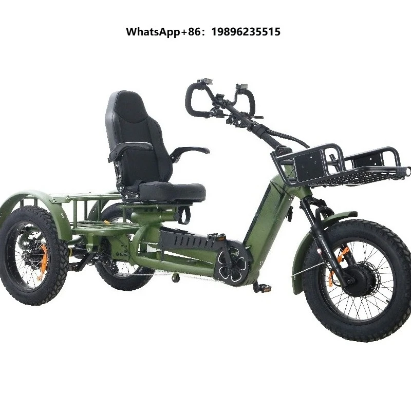 New Arrival Mobility Electric Tricycle 48v 1000w Dual Motor Lithium Black 3 Wheel Motorcycle Cargo for Adults