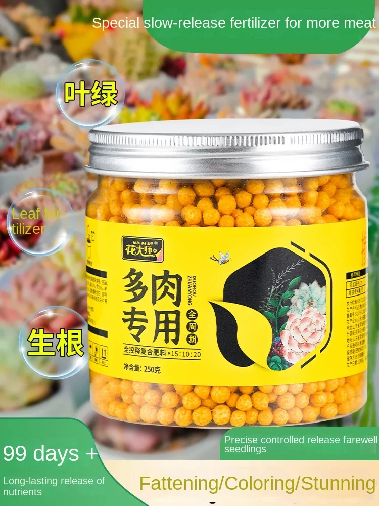 

Succulent Fertilizer Special Fertilizer Controlled Release Slow Release Plant Potted Granular