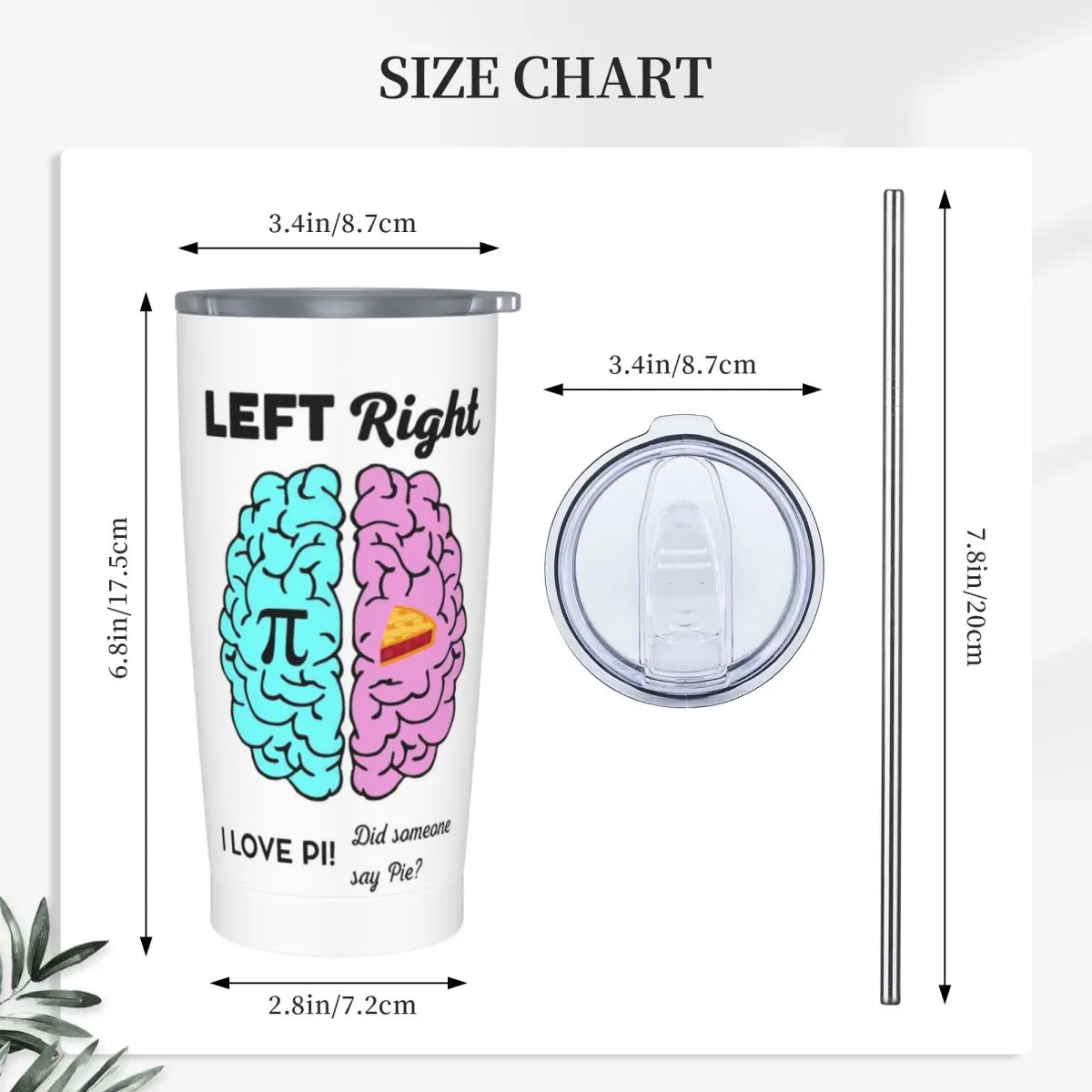 Left Right Brain Hemisphere Pi Pie Math Joke Stainless Steel Tumbler Vacuum Insulated Mugs Thermal Cold Bottle Straws With Lid