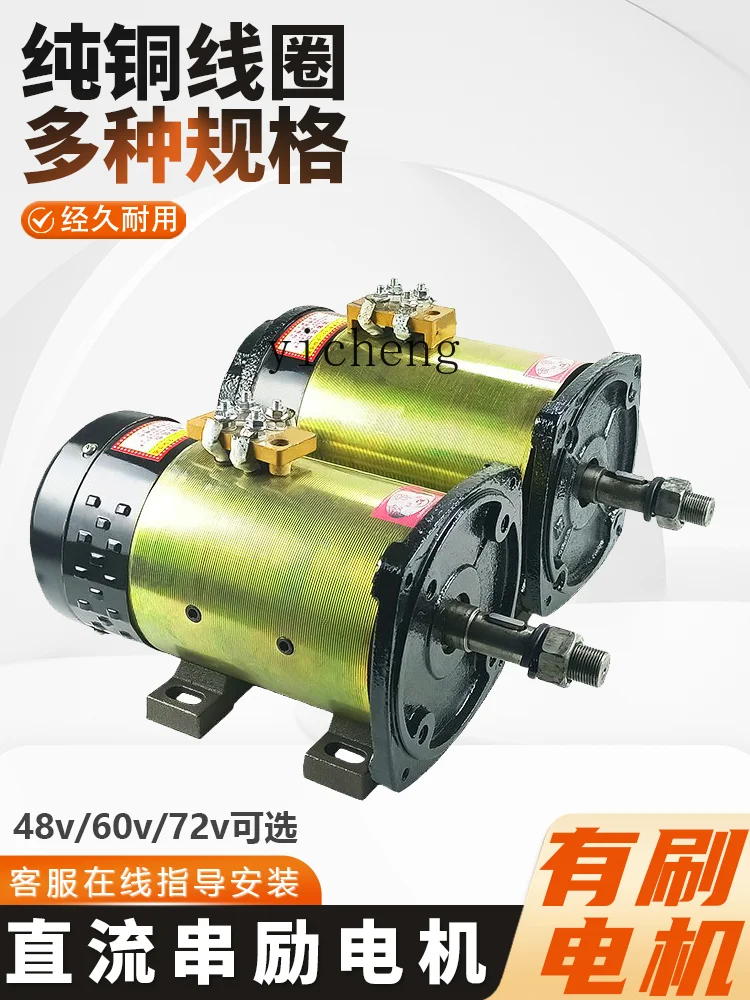 ZF DC series excitation motor modified with pulley motor