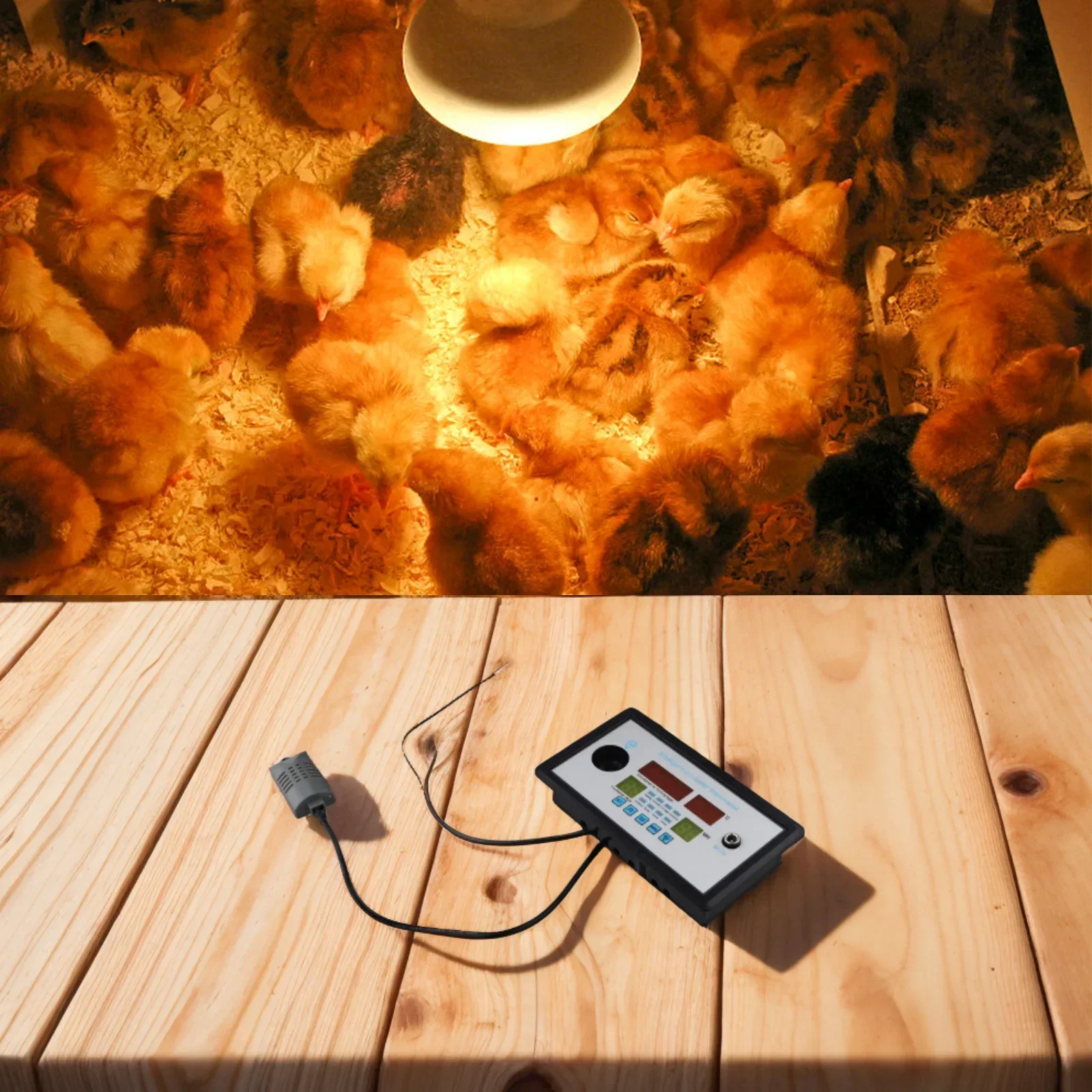 Hermostat Incubator Humidity Intelligent Incubator Temperature ZFX-W9002 1 PCS 110℃ 12V Chicken Duck Goose Eggs