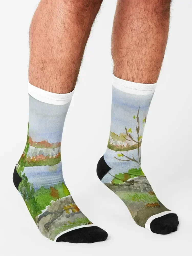 Colpoy's Bay From Skinners Bluff Socks cool soccer anti-slip Christmas new year Socks Ladies Men's