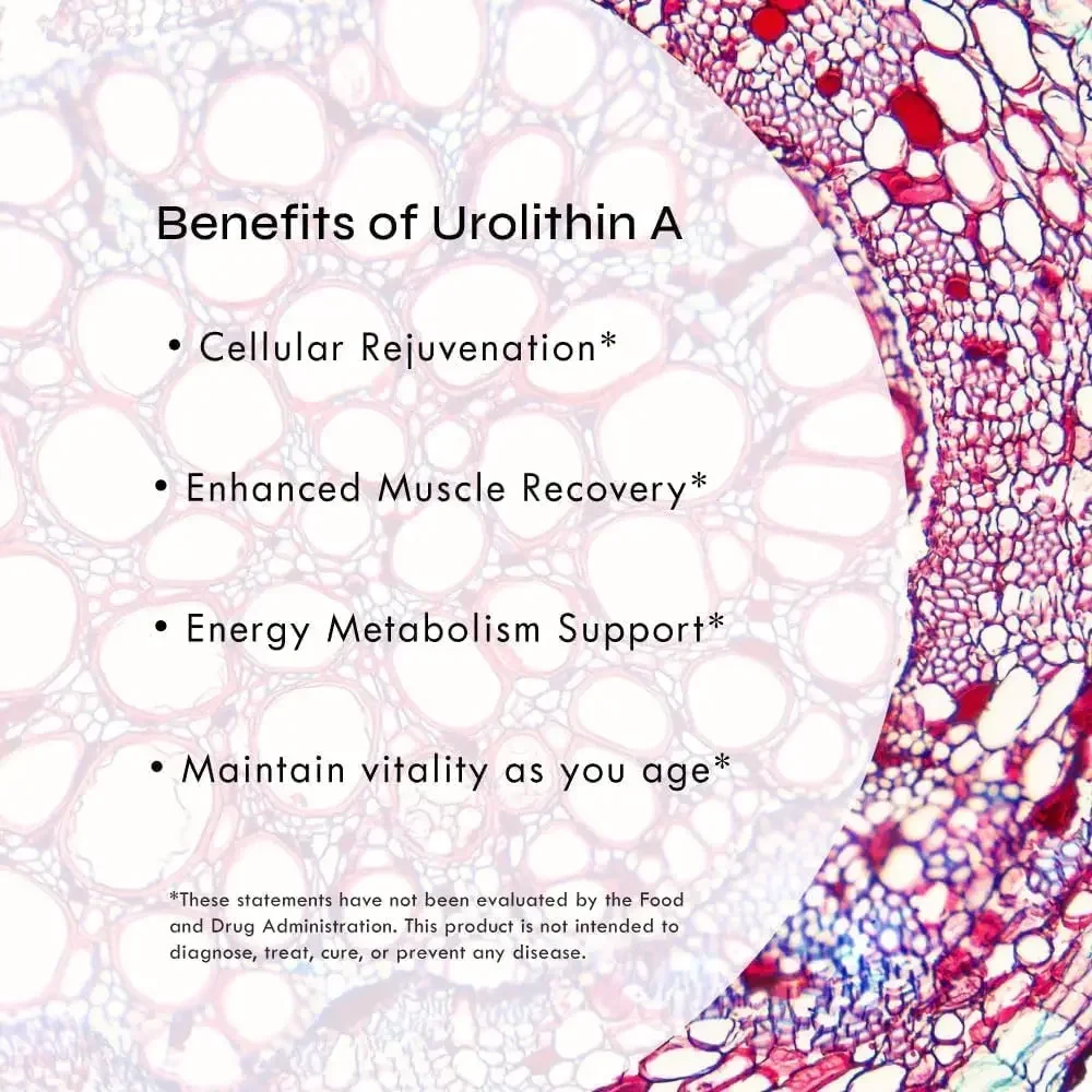 قوة معززة للخلية والحيوية المتقدمة - مسحوق فائق 60000 ملجم - شهادة المختبر