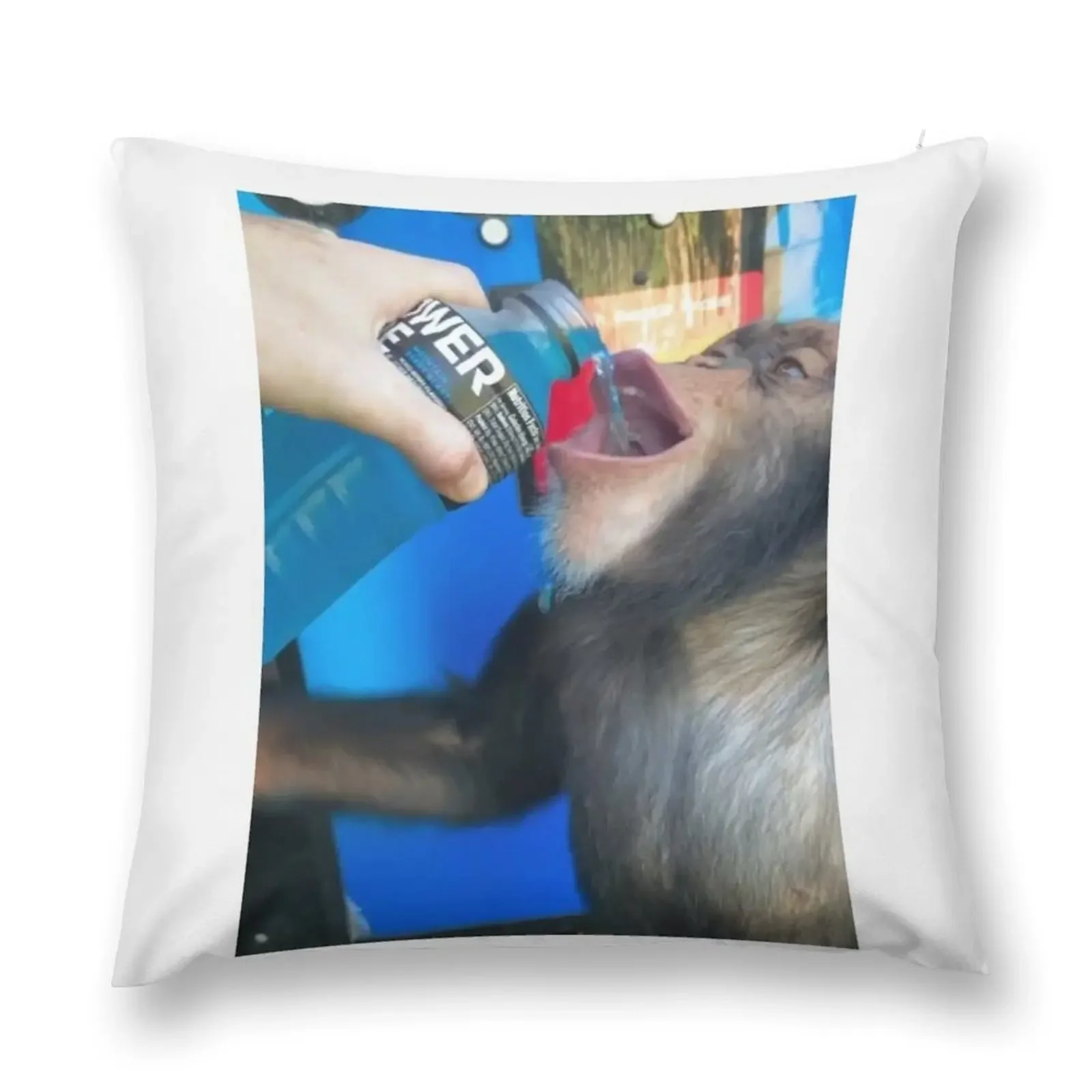 chimp drinking powerade Throw Pillow Cushion Covers For Living Room Decorative pillowcase Custom Cushion Photo pillow