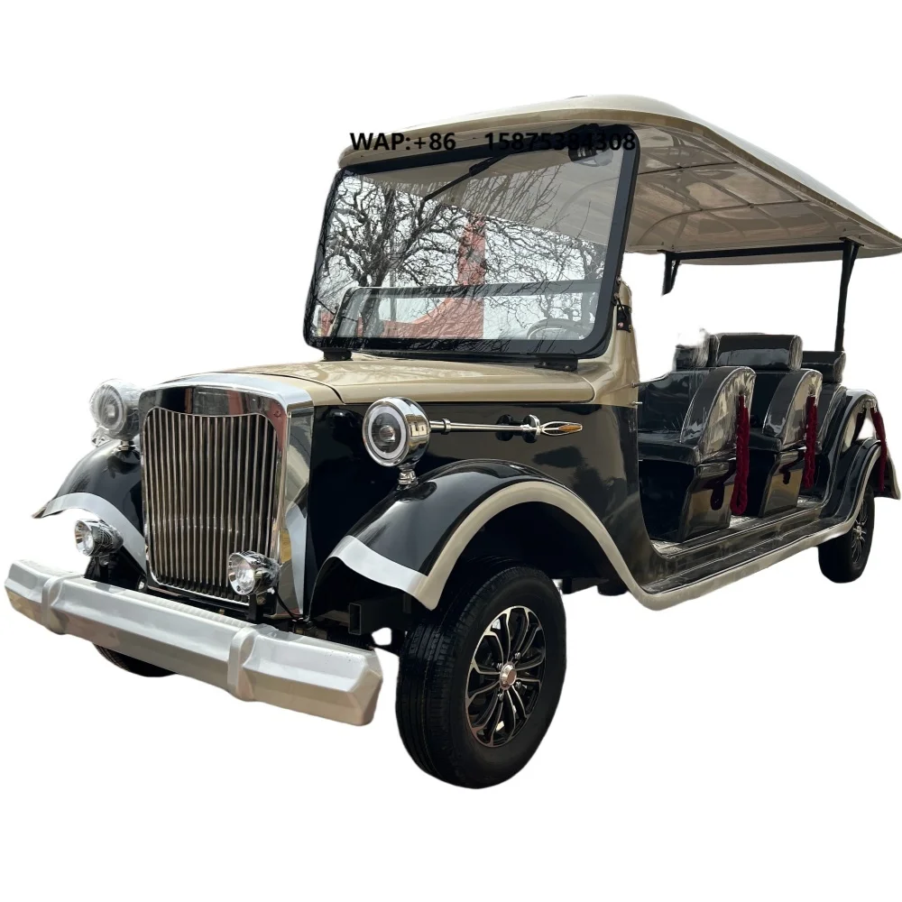 New electric sightseeing bus and car zoo shuttle electric classic car