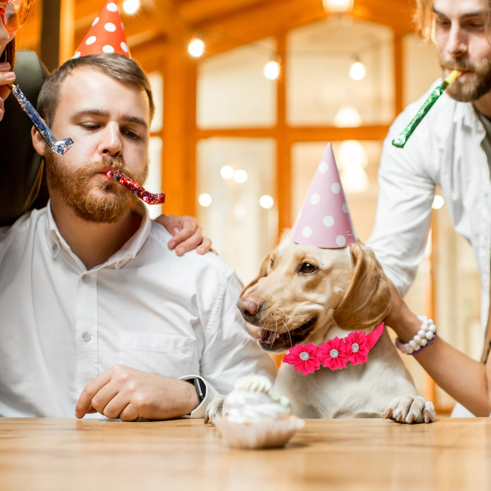 

1 комплект регулируемых ошейников для кошек и собак с цветочным дизайном, из полиэстера, легкие, безопасные, для повседневного использования, на свадьбу, день рождения, Рождество