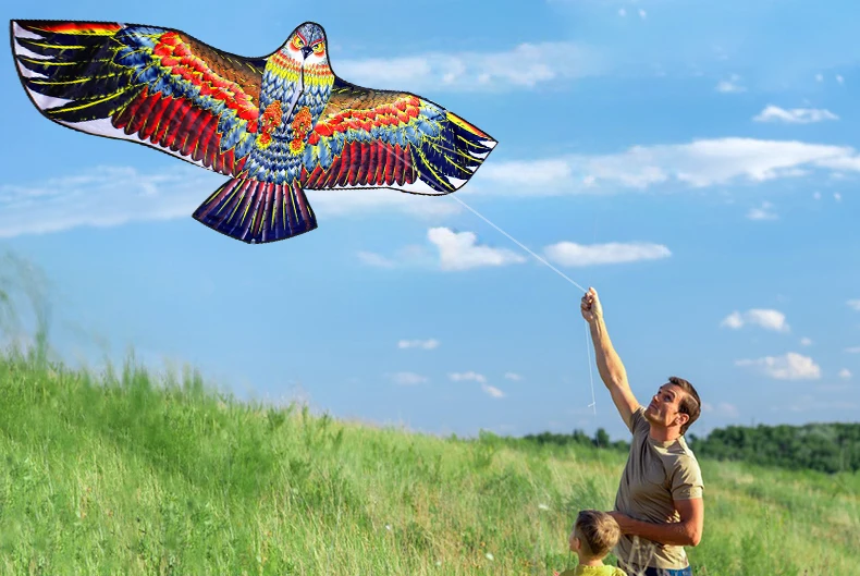 NEW Arrive Outdoor Fun Sports 1.6m Eagle Kite With Handle And Line Good Flying