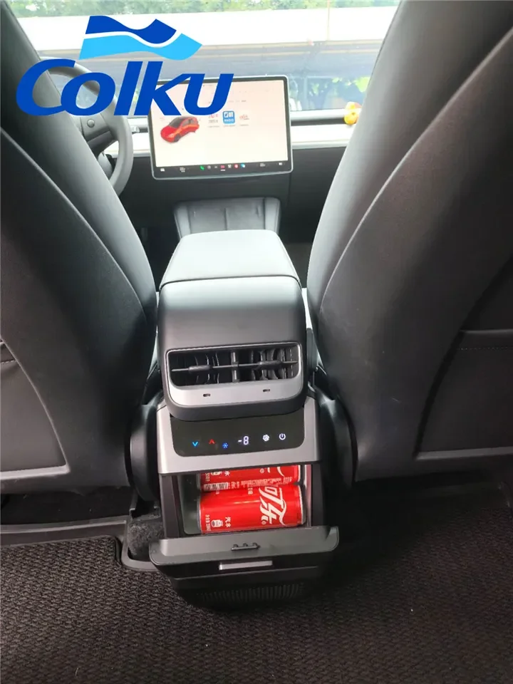 New Arrivals 4.6L Mini Modified Texla Modle Y 12V/24V Car Fridge With Cooling Warming