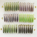 S01--6 COLORS