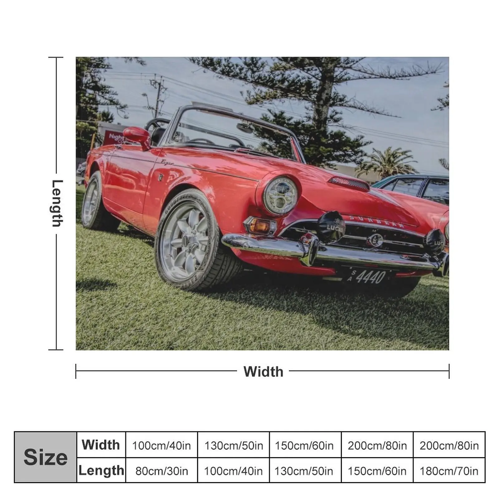 Sunbeam Tiger in red Throw Blanket Plush Heavy anime Luxury Thicken Blankets