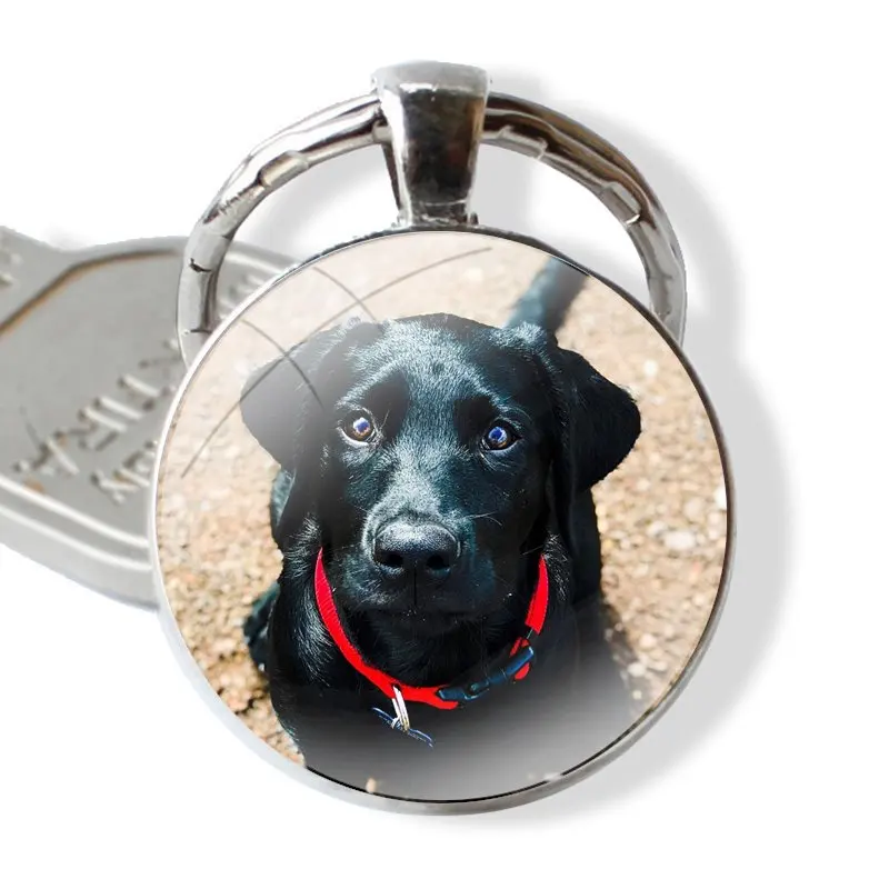 hello Black Lab Labrador puppy Dog 25mm Glass Cabohcon Keychain Key Rings for Women Men Jewelry Gift