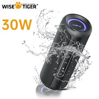 WISETIGER P3 Portable Bluetooth Speaker 30W Outdoor IPX7 Waterproof Bass Boost Sound Box TWS Dual Pairing BT5.3 RGB Lights