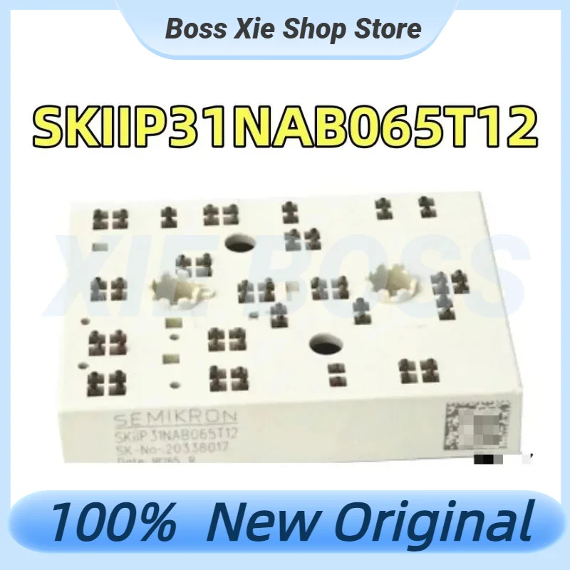 testato-al-100-skiip31nab065t12-m-dulo