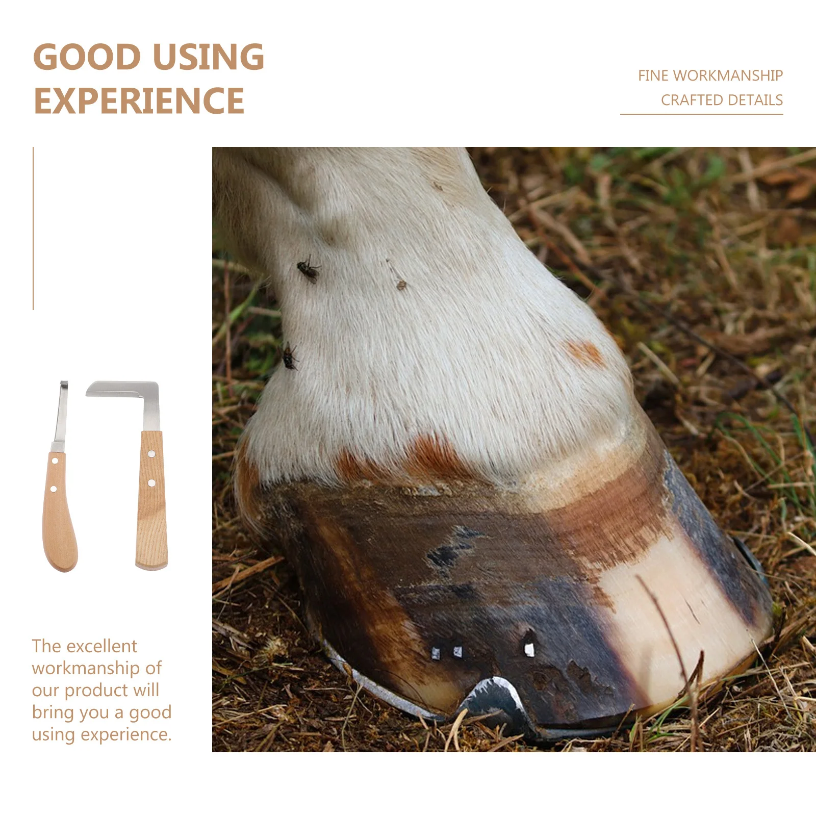 

2 Pcs Hoof Trimming Knife Set Portable Horses Trimmer Donkey Nail Tool Repair Cutter Animal Foot Pruning Brown