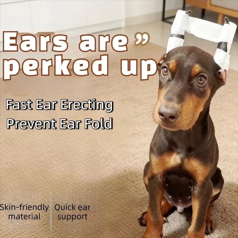10Pcs Soft Foam Rods Dog Ear Stand Up Tool Prevent Ear Fold Non-Invasive Ear Erecting Stick Breathable Fixed Rods