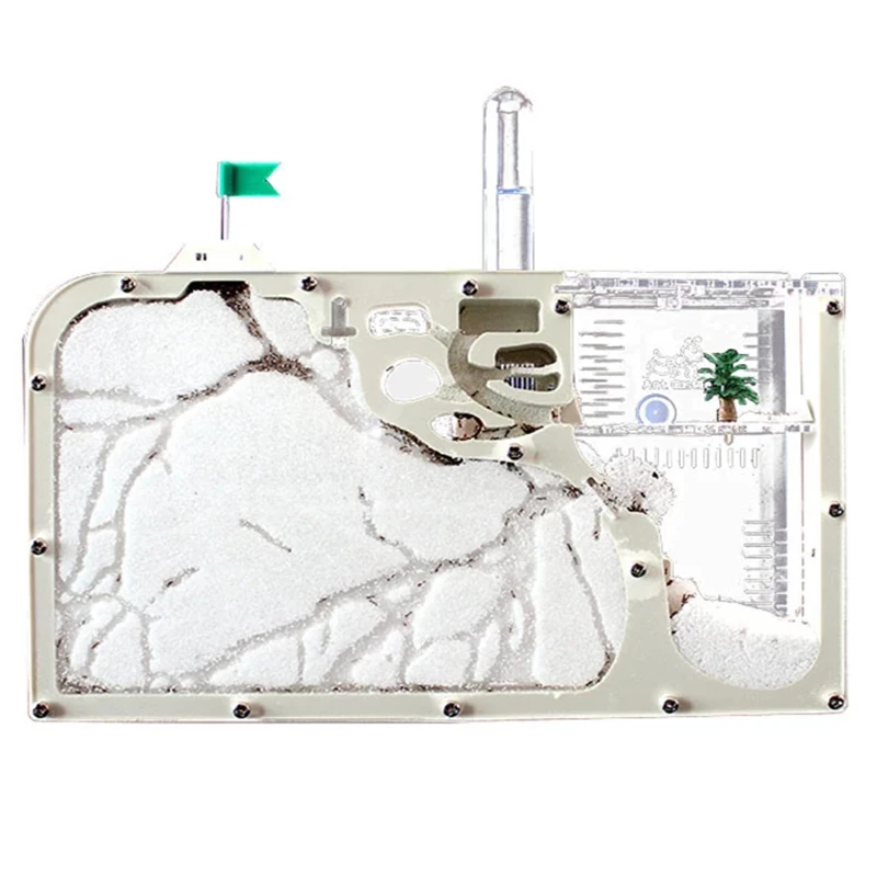 Thumbnail 2 - #25 New Ant Farms Arrivals