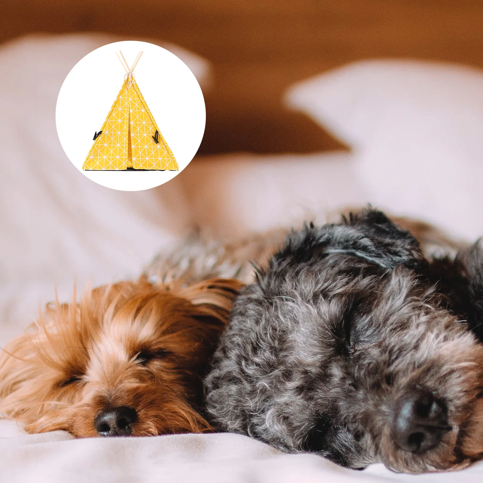 

Pet Triangle Tent Creative Folding House Portable Pet Bed Warm Nest High Quality Scratch Resistant Dye Fastness Active Printing