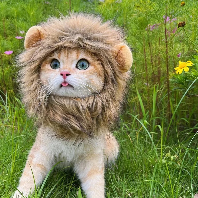 Cute Lion Mane Cat Wig Hat Funny Pets Clothes Cap Fancy Party Dogs Cosplay Costume Kitten Hat with Ears Accessories Cat Costume