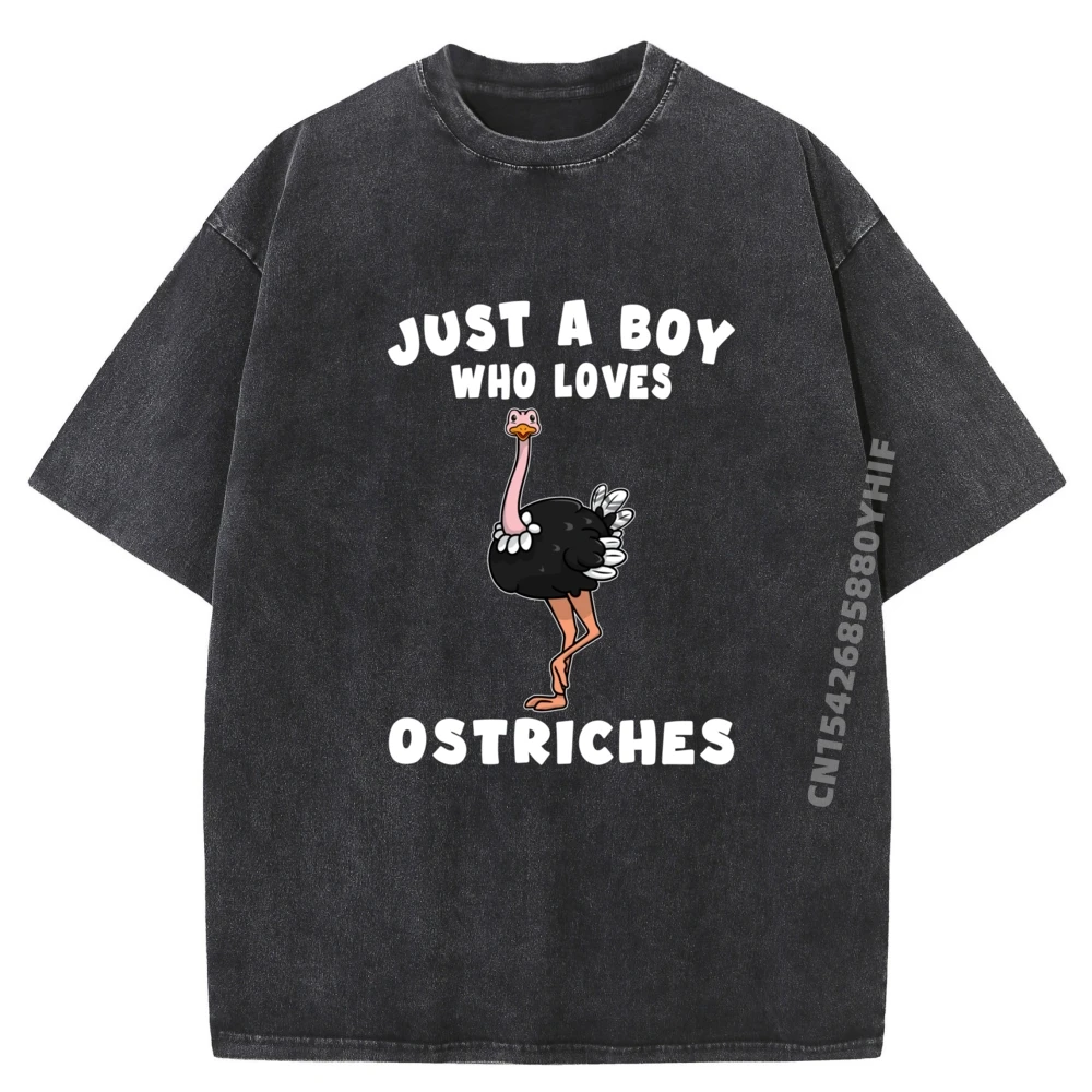 

Just A Boy Who Loves Tees Special Graphic Tee Outdoor Comfortable Men's T-shirts Women Crazy Funny Washed T-Shirt