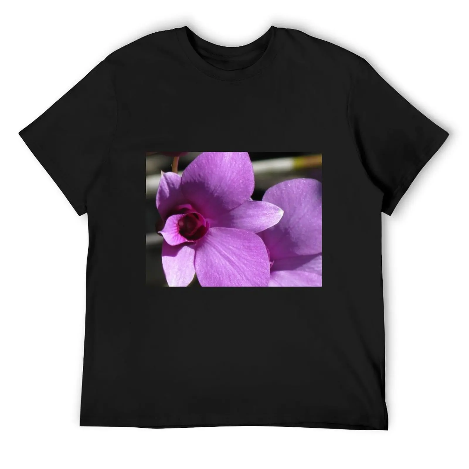 

Cooktown Orchid (Dendrobium bigibbum) T-Shirt topping sweat vintage clothes gifts for boyfriend Men's clothing