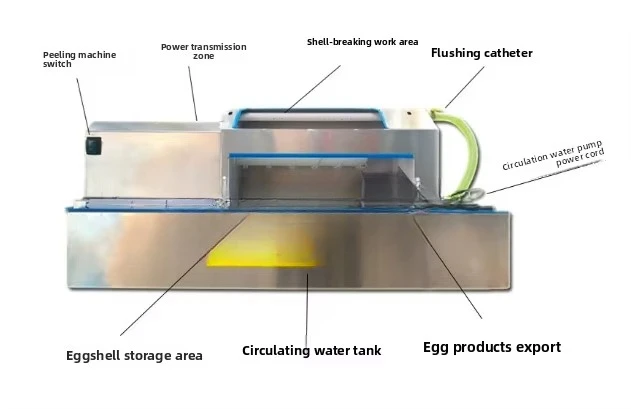 نمط جديد عالي الكفاءة مزيل قشرة بيض الدجاج لينة الصلب أبليق بيض السمان معالجة آلة تقشير مقشرة