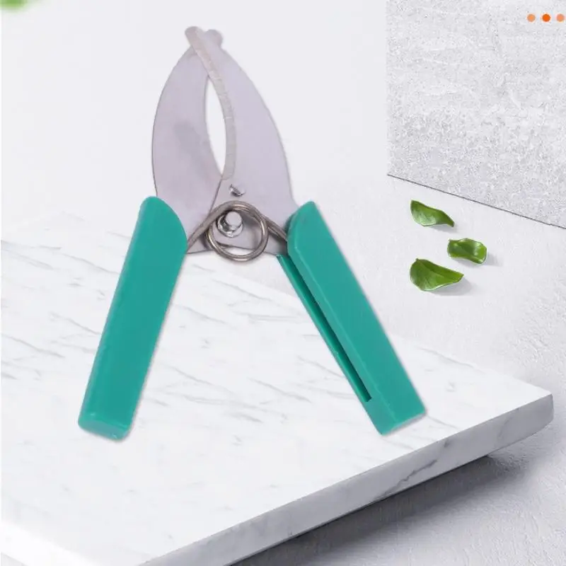 

1 шт. Секатор-ножницы для обрезки и снятия коры, садовый ручной инструмент для обрезки веток деревьев, острый инструмент для снятия коры