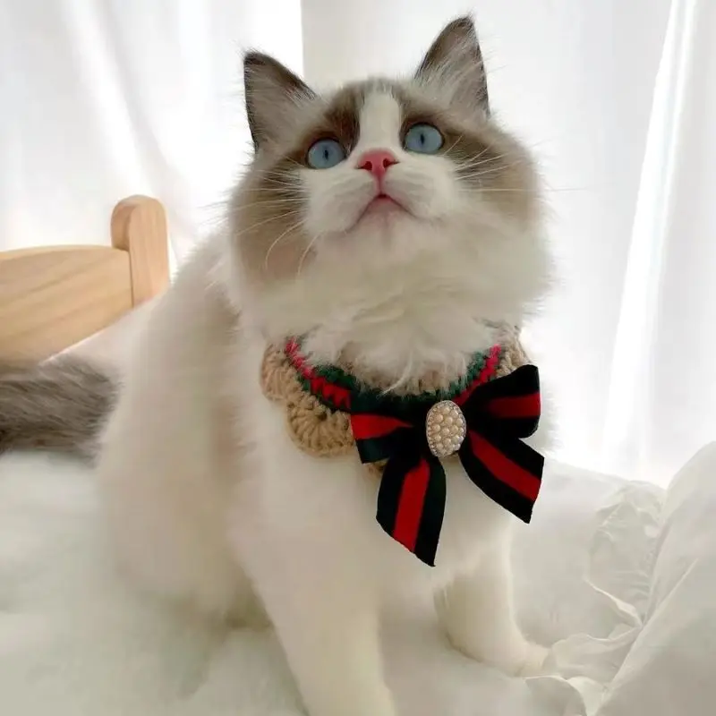 Perle nœud papillon collier chat chien foulard animaux de compagnie chats chaton chien chiot chaîne bavoir collier cravate cou sangle écharpe accessoires