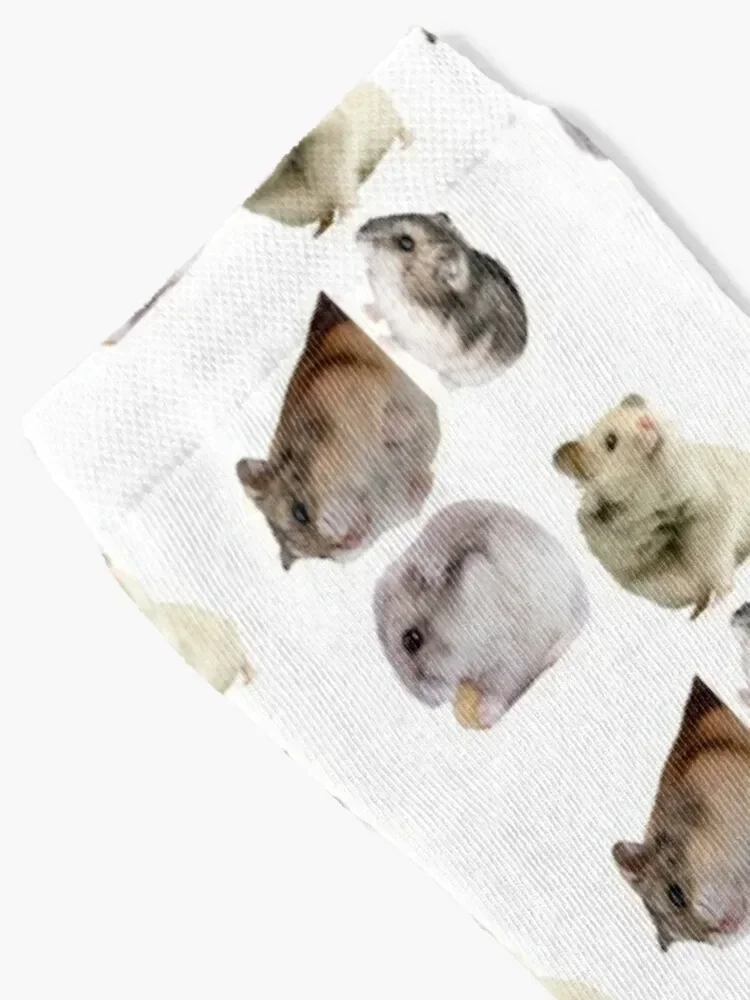 1st MajesticHamster Stickers Package. Cute Hamsters For Every Hamster Owner, Animal Mam, Furbaby Parent. Not Guinea Pig Th Socks