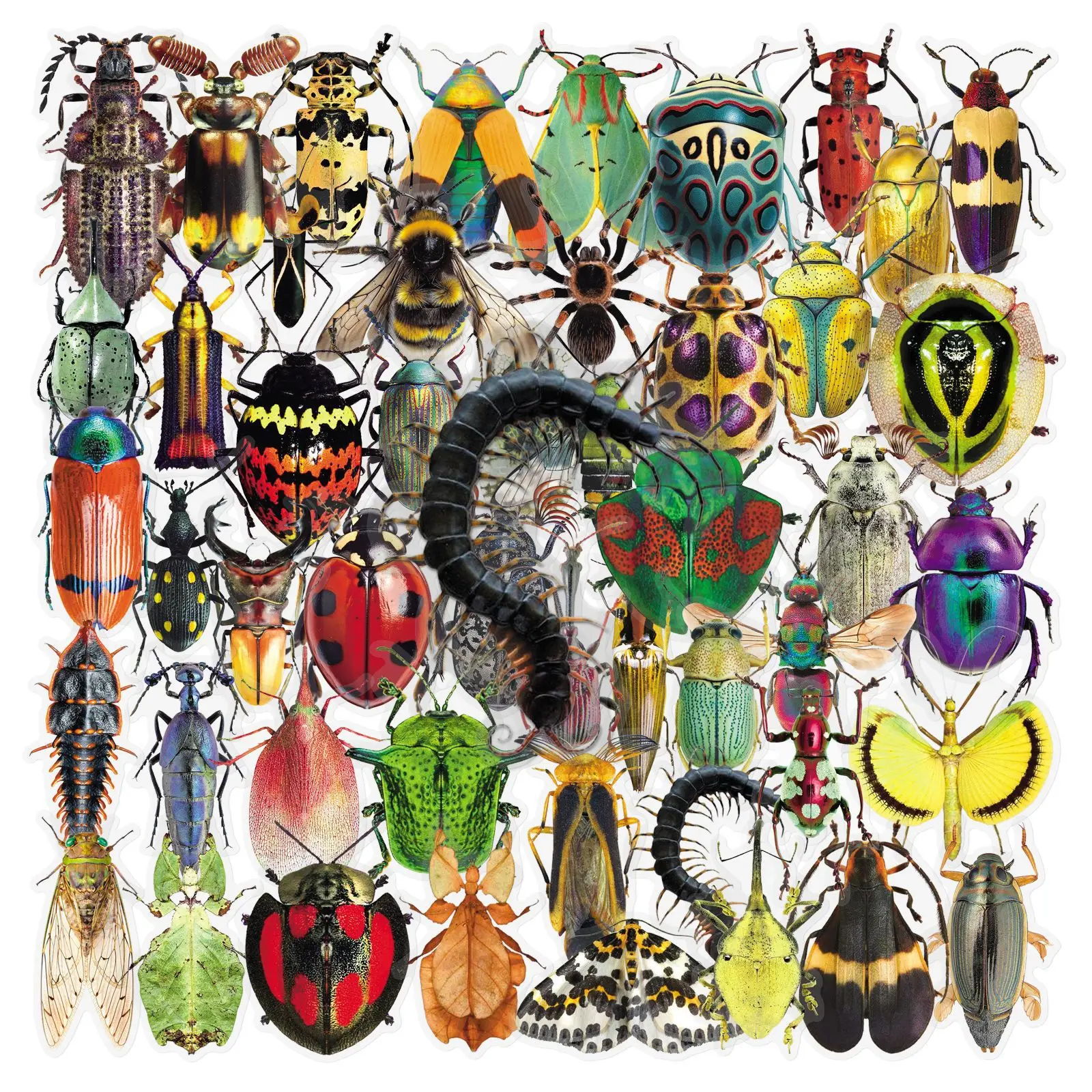

50PCS Insect Transparent PET Sticker Cartoon Animal Waterproof Laptop Handbook DIY Mobile Phone Sticker