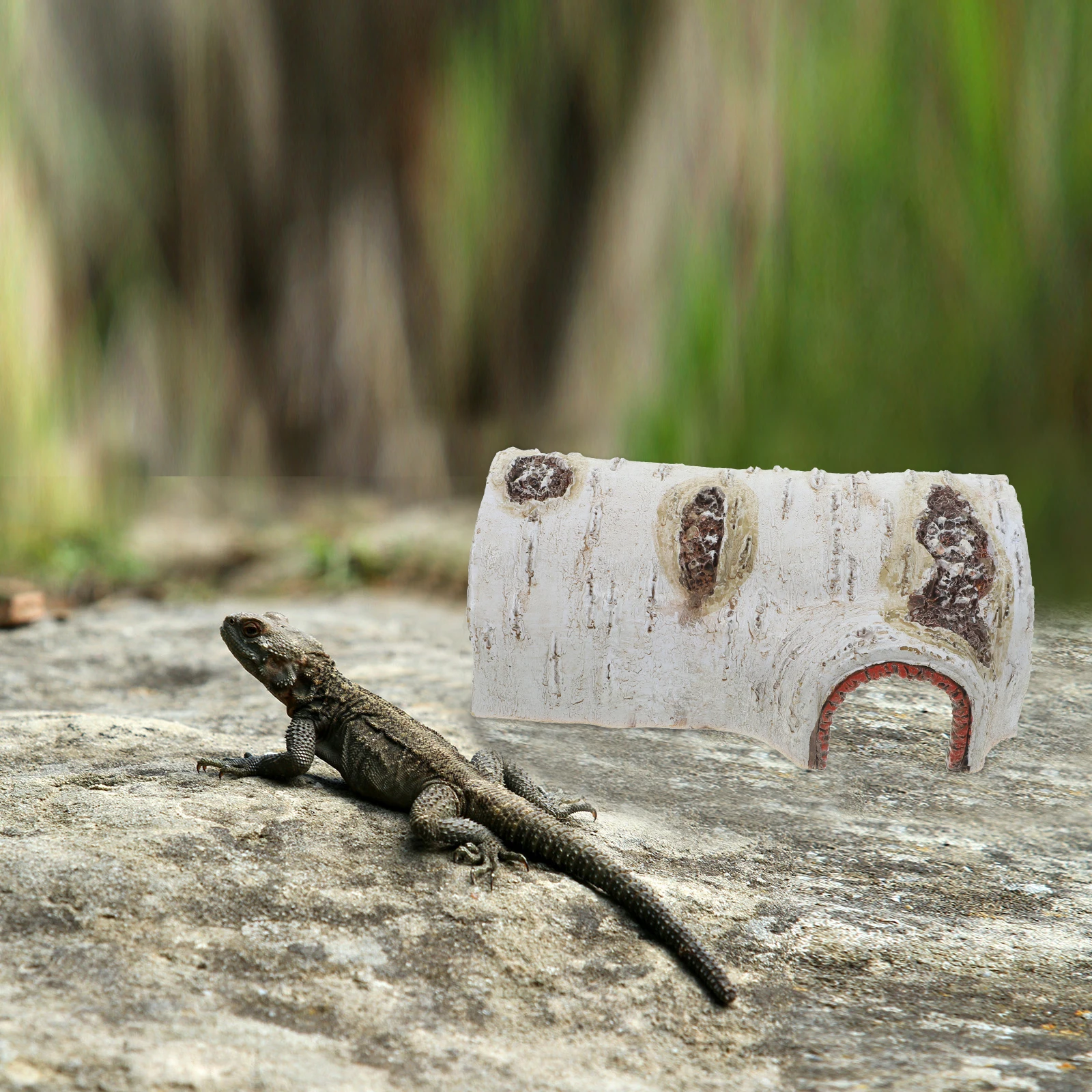 

Resin Reptile Small Size Lizard Reptiles Hideout Gecko Shelter Decorative Cave for Spiders Snakes Pet Supplies