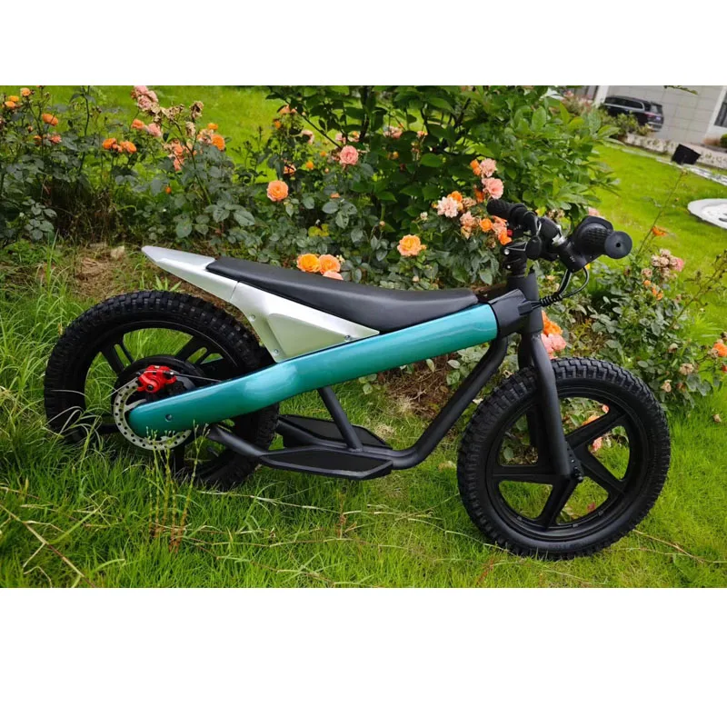 2024 Cheap Kids Electric Bike 36V 250W 350W Motor Optional Frame Color Seat For One Kids Double Seat For Two Kids image 1