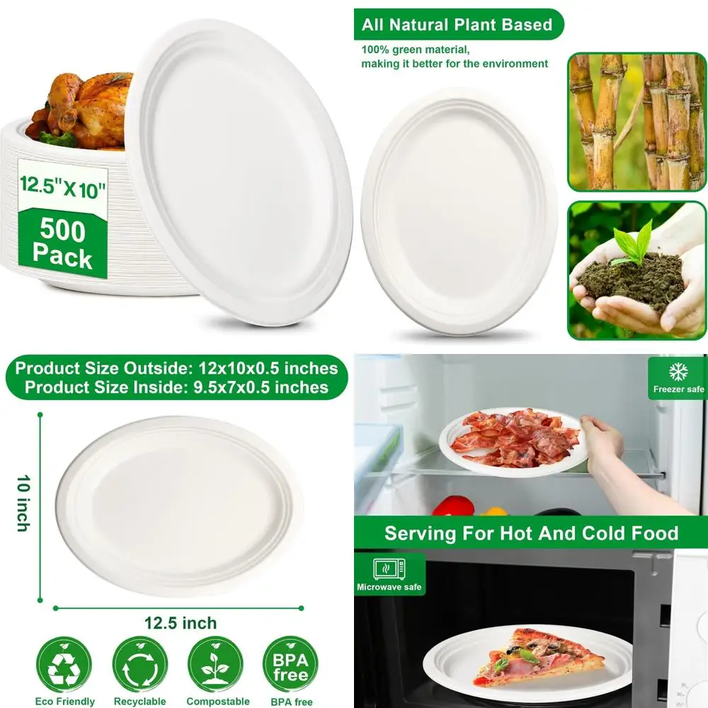

Eco-Friendly Compostable Paper Plates, 500 Count, 10 x 12.5 Inches, Heavy Duty Disposable Plates for Outdoor Events and Dining