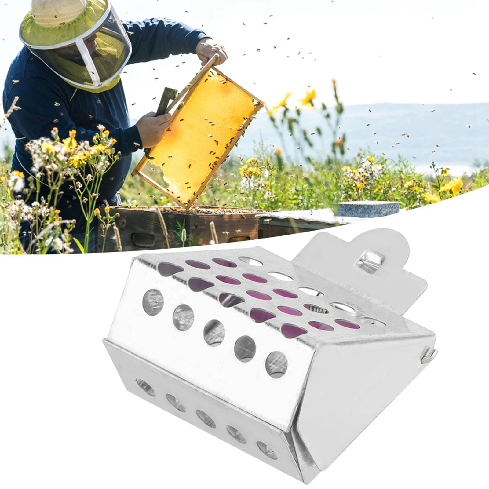 Queen Cage Bee Catcher Galvanized Iron Queen Bee Catcher Clip Queen Cage Clip Bee Catching Tool for Beekeepers Beekeeping Tool