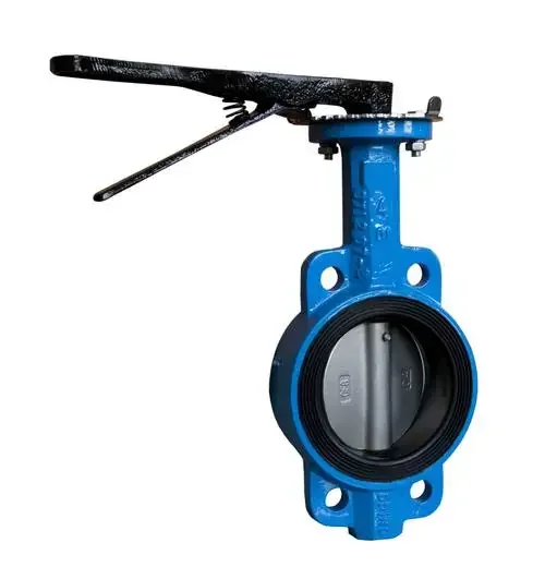 High Quality Lined Manual Wafer Soft Sealing Butterfly Valve for Water Media Low Temperature  Supported