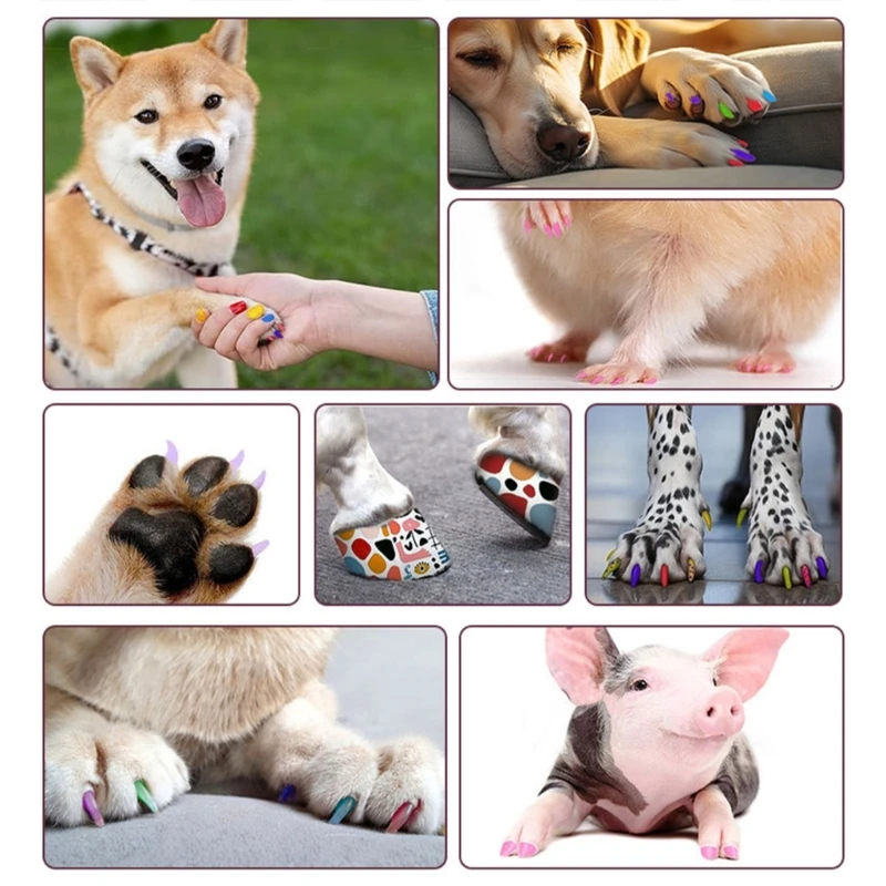 12Pcs Pet Polish Pen Set Water-Based Pet Polish Brush Pen Fast Drying Easy to Remove Dropsale