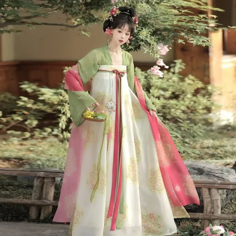 

Hanfu Dress for Women - Traditional Chinese Tang Style Print Chiffon Hanfu Costume with Wide Sleeves Halloween Cosplay Costume