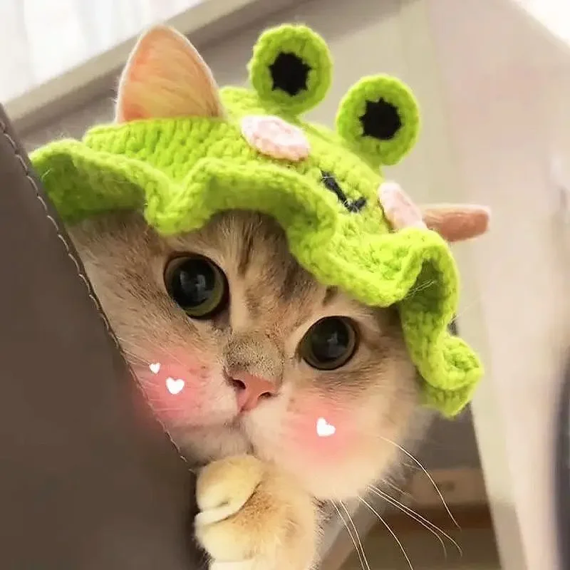 Pet Pet Cat Crossdressing Dog Frog Hat Head Cover Cat Flower Cute Lotus Leaf Maid New Year Woolen Hat