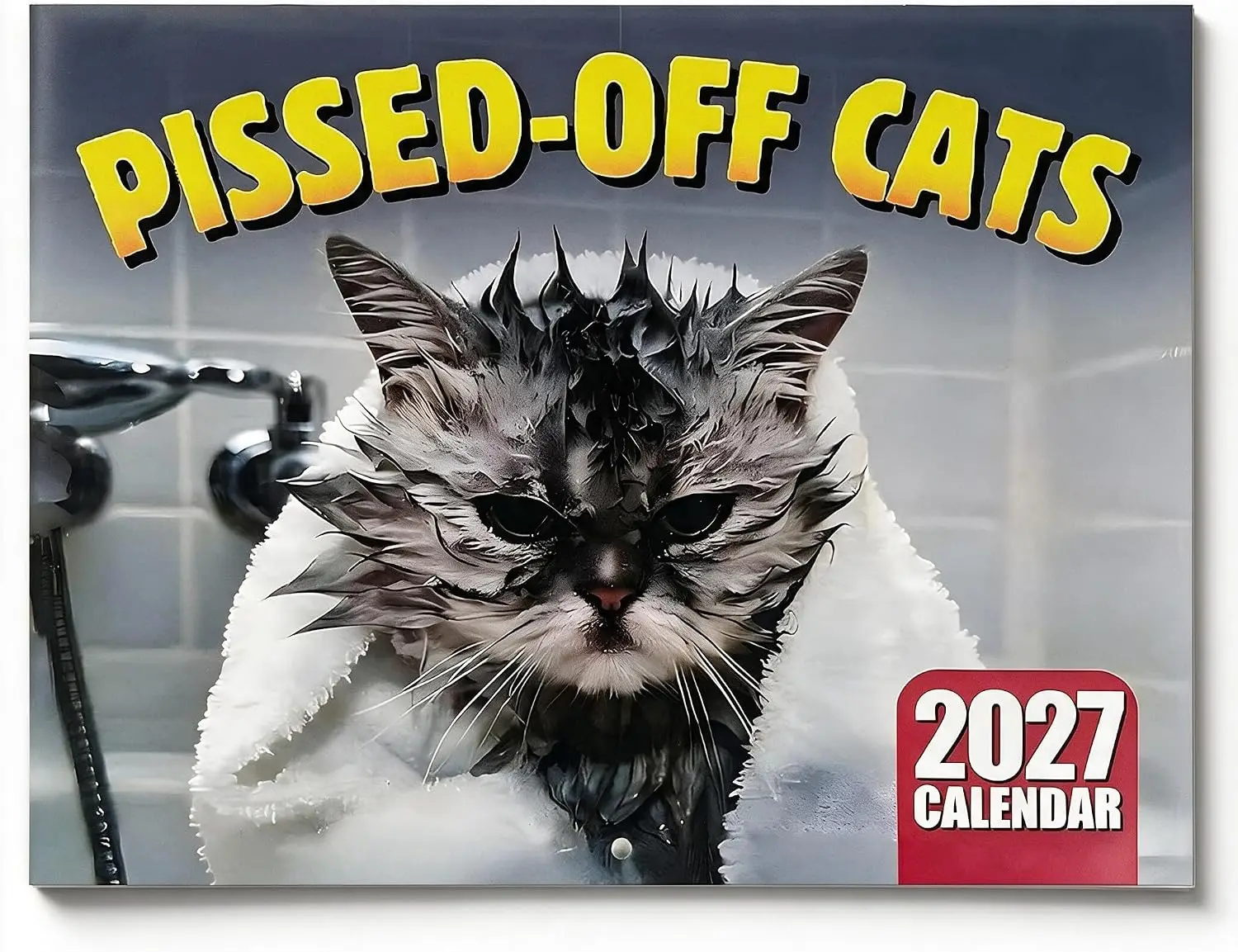 2027 Funny Angry Cat Meme Wall Calendar 12 Month Hanging Monthly Planner with Hilarious Cat Pictures Funny Gift for Cat Lovers