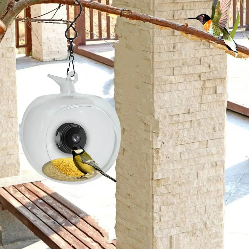 Live Stream Bird Feeder 1080p Video Camera Bird Feeder for Close-up Shots with Wifi Connection Outdoor Garden for Birdwatching