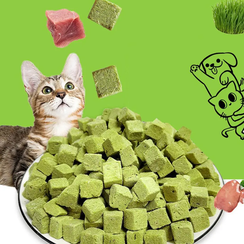 500g Cat Snacks Freeze Dried Grain Freezedried Granules Cat Grass Teeth Grinding Stick Cat Grass Granules Cat Snack