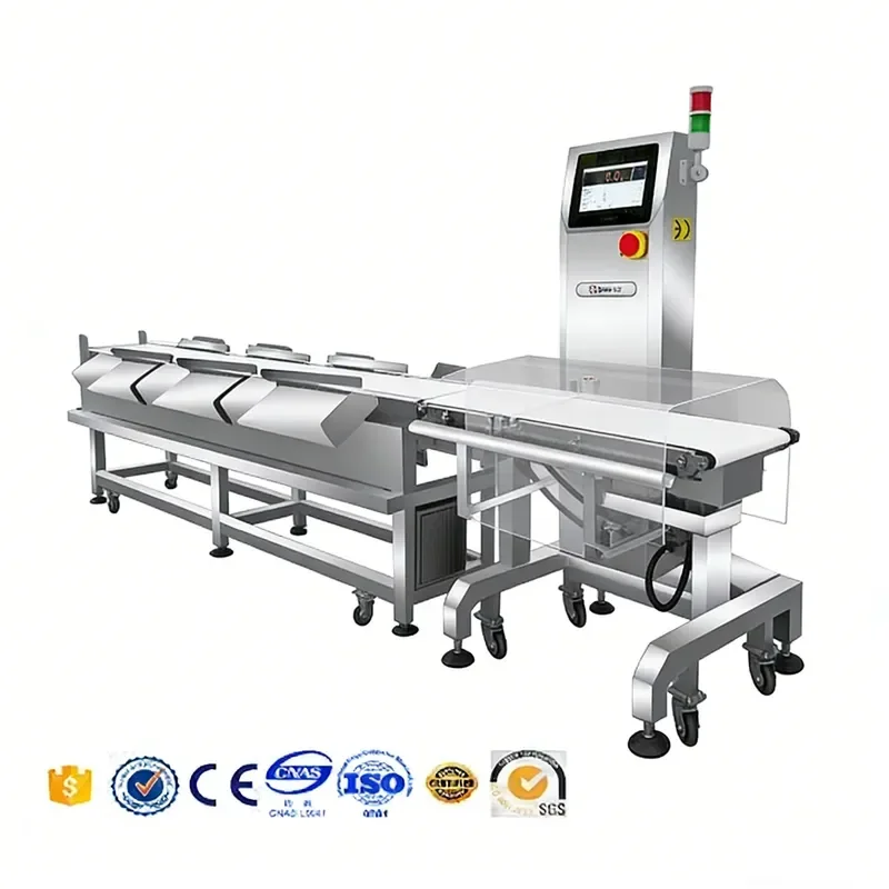 High Speed Check Weigher Sorting Machine Automatic Weight Grading Sorter Machine for Food Packaging Line