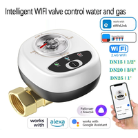 DN15/DN20/DN25 Smart Home Smart Valve Work With eWeLink Water Gas Shutoff WIFI APP Control Wireless Automated Ball Valve